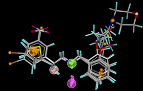 Common feature pharmcophore mapping