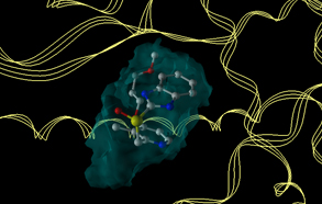 Interacting residues information