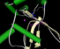 Enzymes